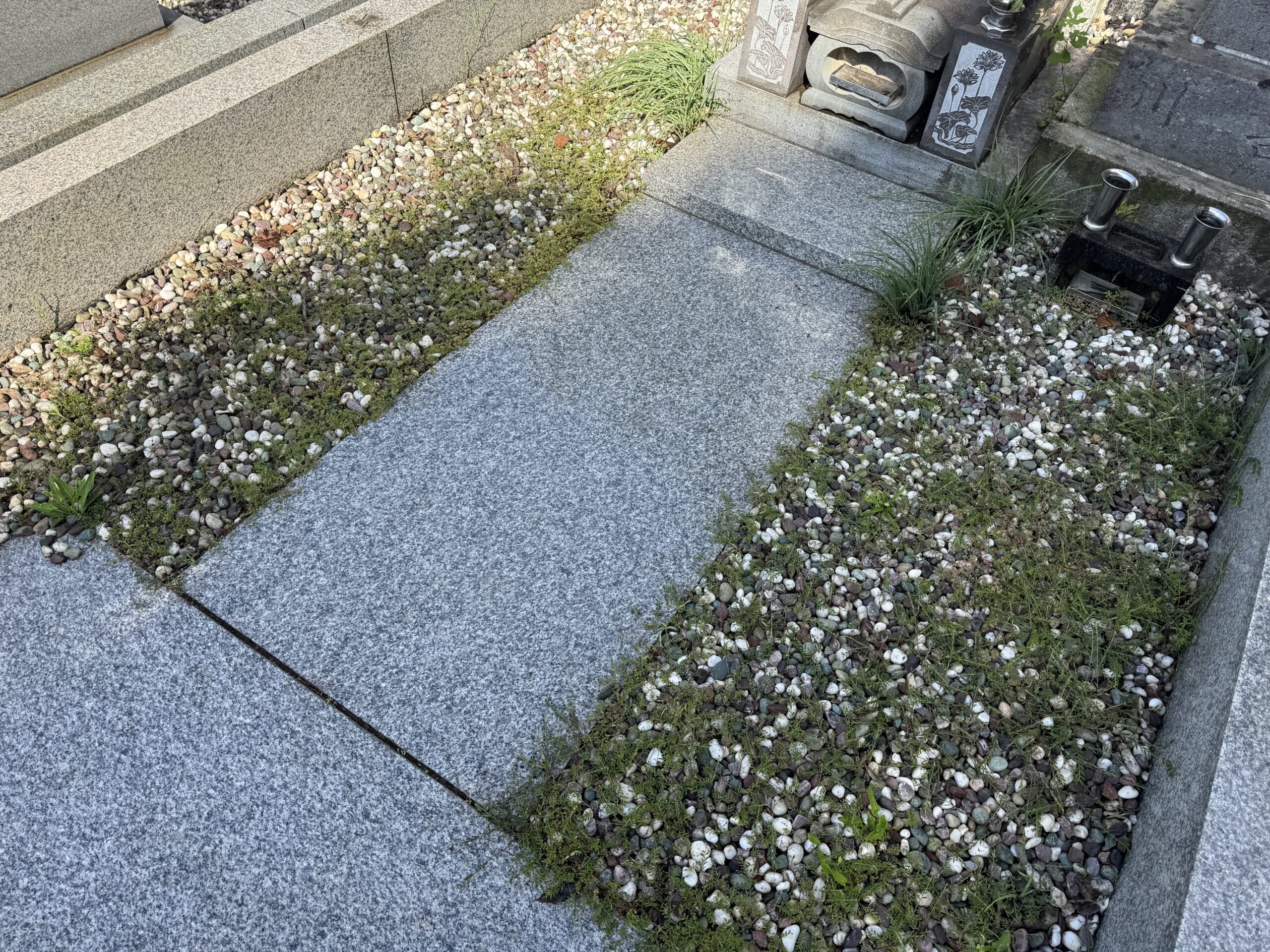 NS透水工法による除草作業(施工前)